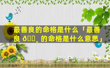 最善良的命格是什么「最善良 🌸 的命格是什么意思」